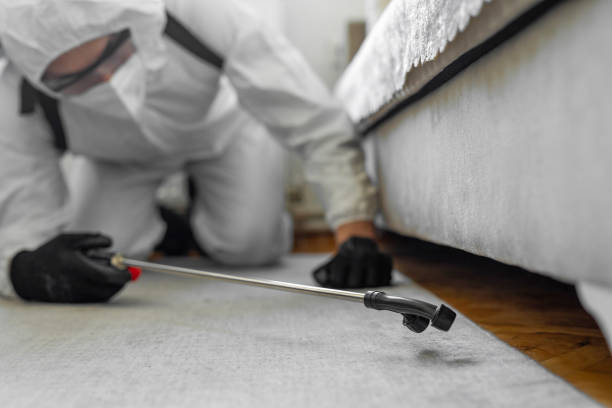 Professional Bed Bug Control technician working in Royal City, WA