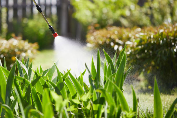 24/7 Emergency Bed Bug Control experts in Royal City, WA