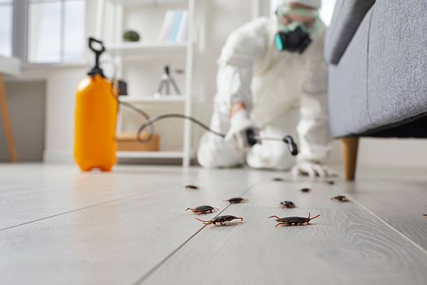Trusted Fumigation Services service in Royal City, WA - Nex Pest Control
