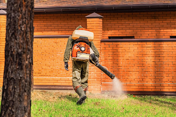 Trusted Termite Control service in Royal City, WA - Nex Pest Control